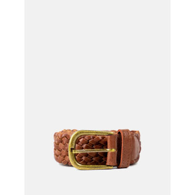 Harper belt - Walnut