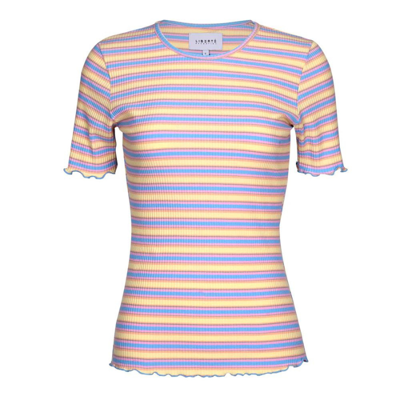 Natalia t-shirt - Yellow rose blue stripe