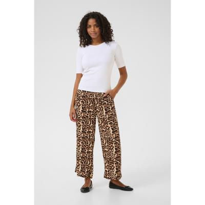Kadacia buks - Naturel leopard