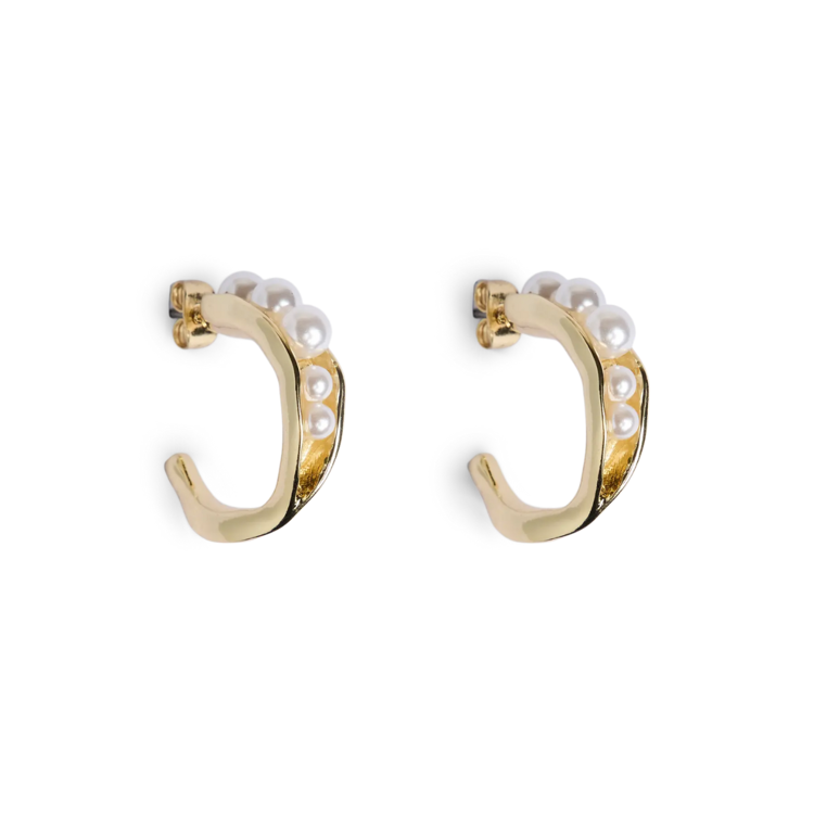 Pcjasmin earrings - Gold colour/st3